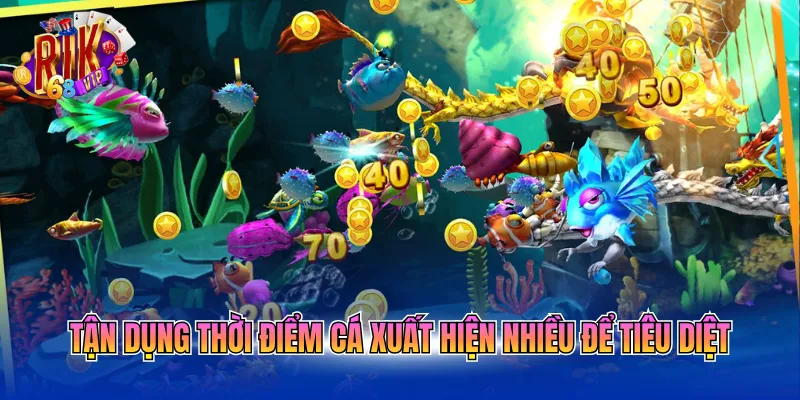 tan-dung-thoi-diem-ca-xuat-hien-nhieu-de-tieu-diet Tận dụng thời điểm cá xuất hiện nhiều để tiêu diệt
